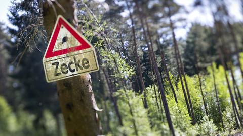 Im Bildvordergrund ein rotumrandetes Warnschild mit der Auschrift "Zecke". Im Bildhintergrund eine Wald mit leichter Bildunschärfe.