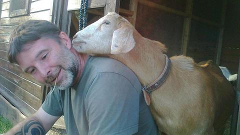 Ziege Jake kuschelt sich an seinen Besitzer John Kraft