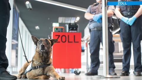 Hund neben Polizeibeamten