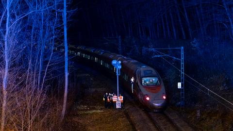 Der Zug steht zwischen Bäumen auf den Gleisen.