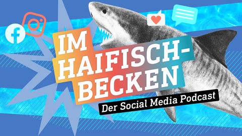 Im Haifischbecken