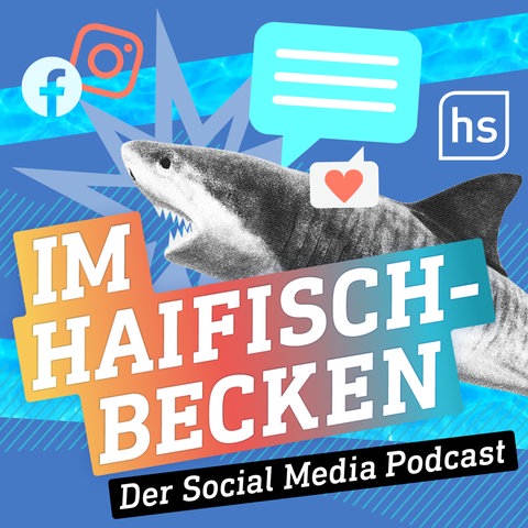 Im Haifischbecken