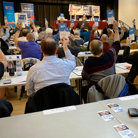 In einem Saal sitzen dutzende Menschen an Tischen und halten Abstimmungskarten hoch.