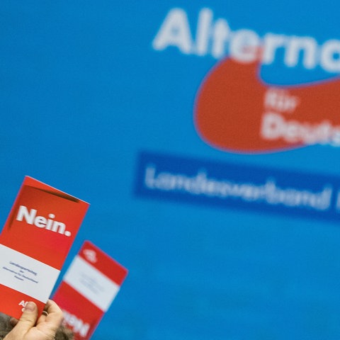 Parteilogo der AfD an einer blauen Wand. Davor in die Höhe gestreckte Hände mit "Nein"-Karten.