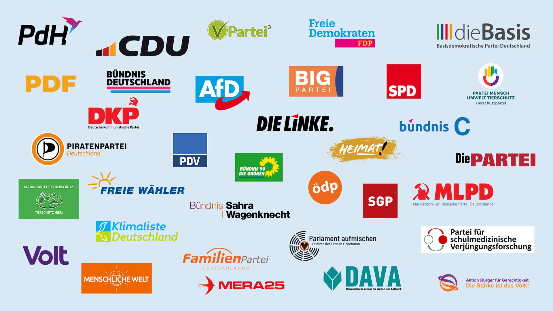 Kandidaten und Wahlprogramme zur Europawahl Diese Parteien treten in Hessen an hessenschau.de