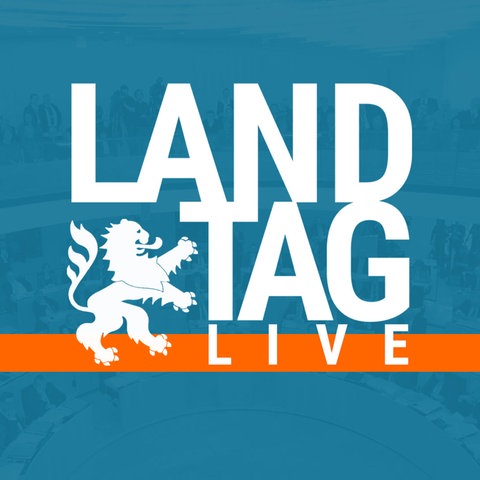 Zu sehen ist der Schriftzug "Landtag live" vor einem eingefärbten Foto des Landtags. 