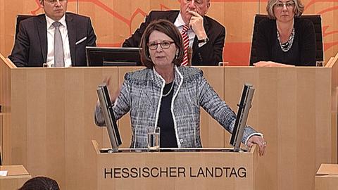 landtag-debatte-bienen-bilder