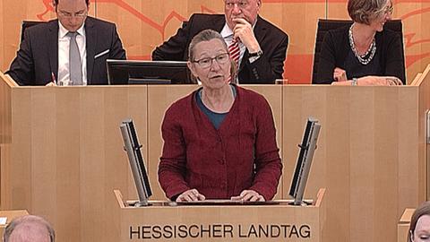 landtag-debatte-bienen-bilder