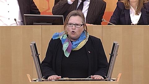 Landtag040419