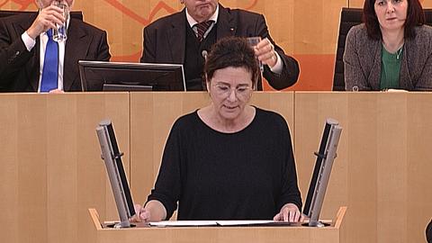 Landtag300120