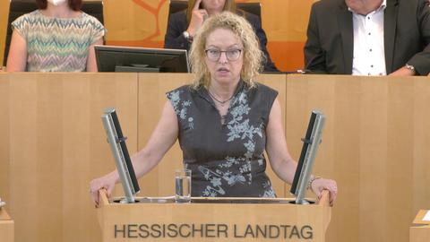 Landtag_130722