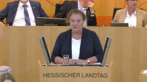 Landtag_130722