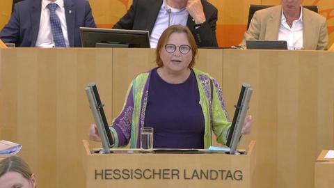 Landtag_130722