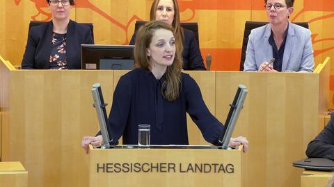 Landtag_130324