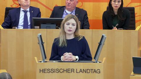 Landtag_130324