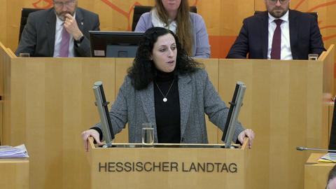 Landtag_060225