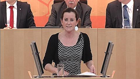 Janine Wissler (Linke) Landtag Windkraft