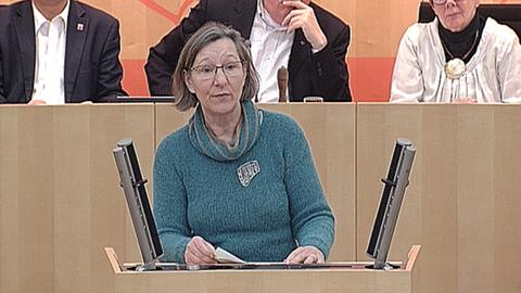 Marjana Schott (Linke) Landtag