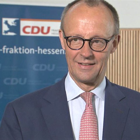 CDU-Parteichef Friedrich Merz im Landtag