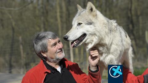 Der österreichische Verhaltensbiologe und Wolfsexperte Kurt Kotrschal und Wahllogo