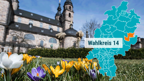 Der Dom in Fulda hinter einer frühlingshaften Wiese.