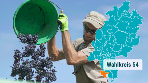 Ein Mann bei der Weinernte.