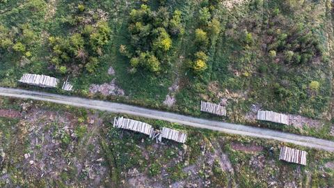 Waldfläche aus der Vogelperspektive fotografiert. Ein Weg führt an Bäumen und Holzstapeln und erdigen Flächen vorbei.