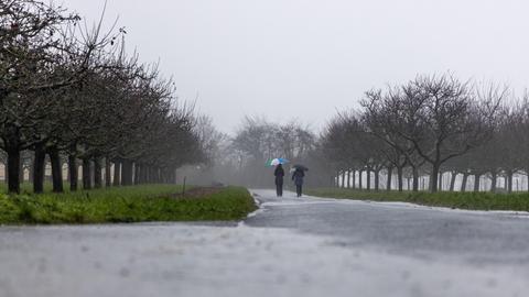 Zwei Personen gehen mit Regenschirm über Feldweg.