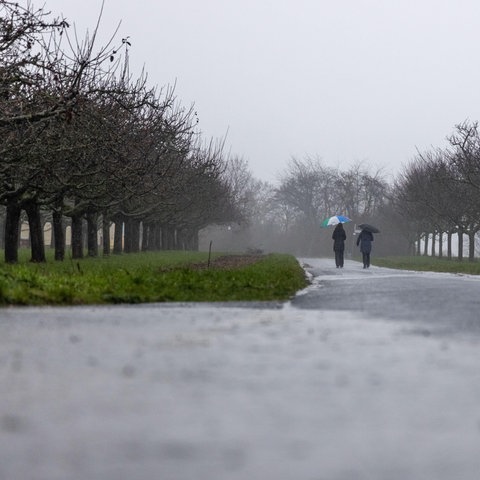 Zwei Personen gehen mit Regenschirm über Feldweg.