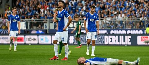 Die Lilien am Boden.