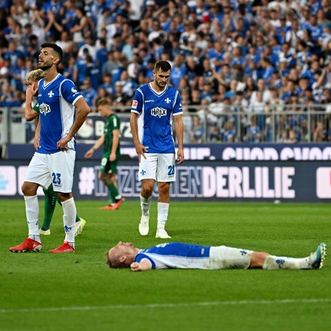 Die Lilien am Boden.