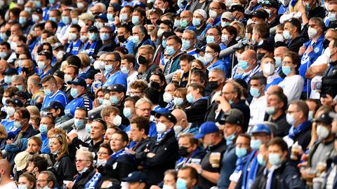 Fans von Darmstadt 98