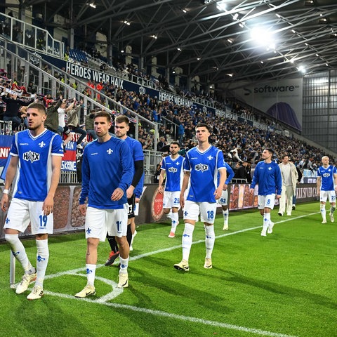 Darmstadt 98 Fans