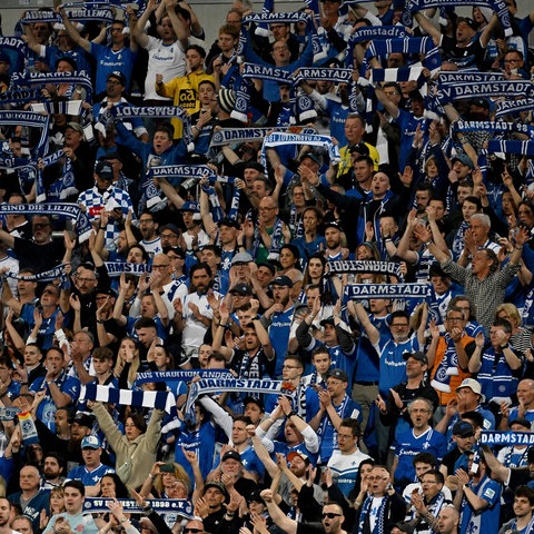 Darmstadt 98 Fans