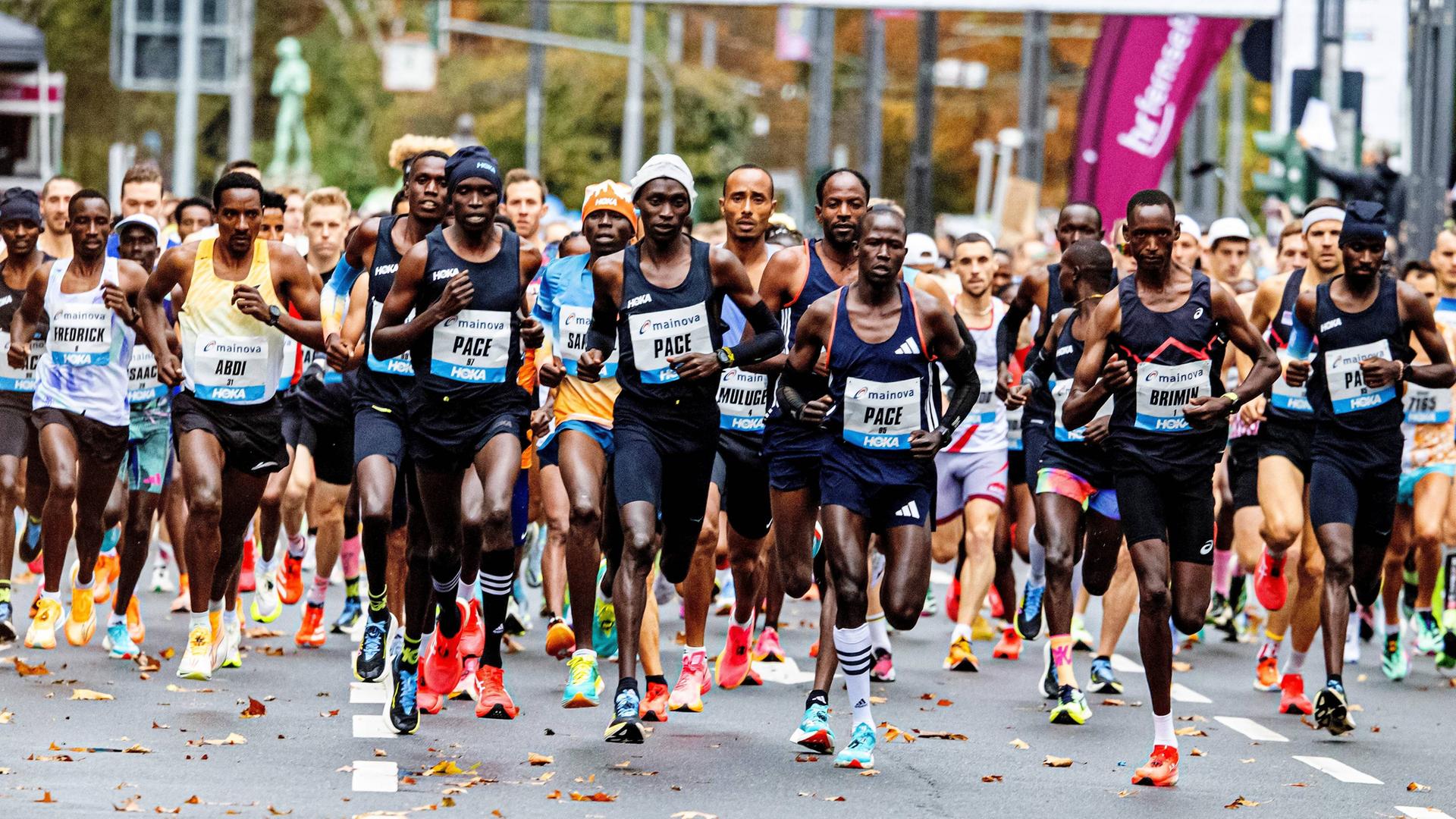 Die wichtigsten Infos zum Frankfurt Marathon 2024