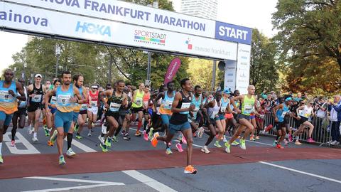 Der Start beim Frankfurt Marathon 2022