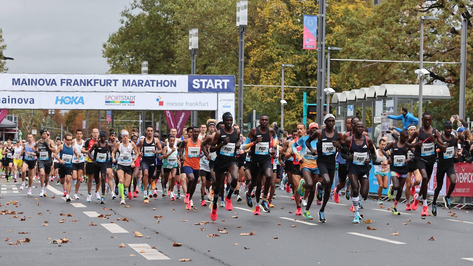 Frankfurt Marathon Das sind die Favoriten und Favoritinnen 2024 hessenschau.de Frankfurt
