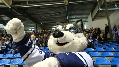 Das Maskottchen der Kassel Huskies 