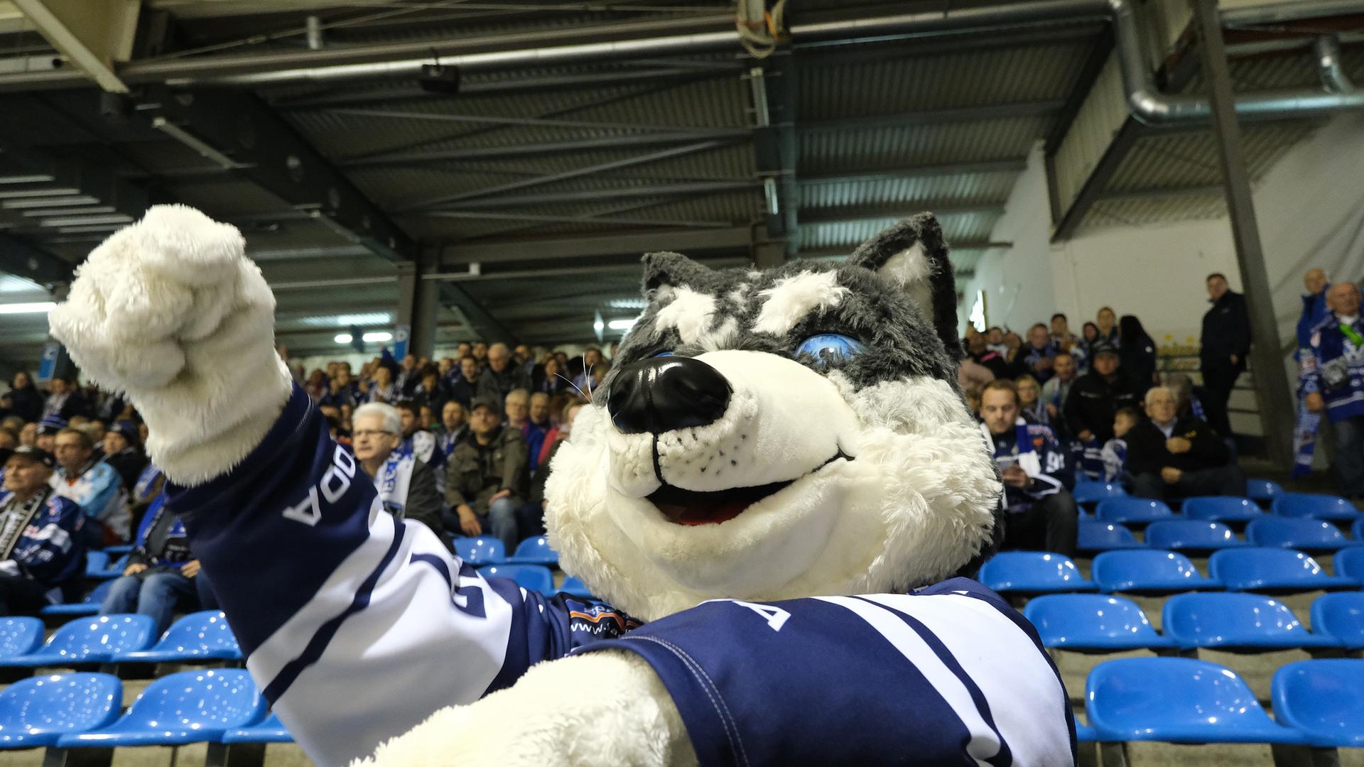 DEL2 Auch Maurer bleibt Kassel Huskies erhalten hessenschau.de