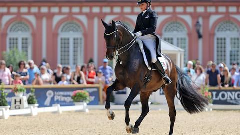 Dorothee Schneider mit konzentriertem Blick auf Pferd Showtime