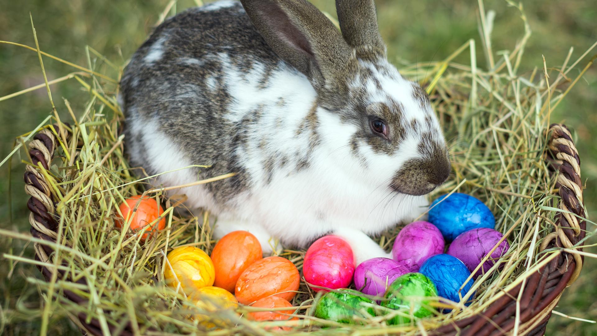 Ostern 2024 in Hessen Aktuelle News im Überblick hessenschau.de