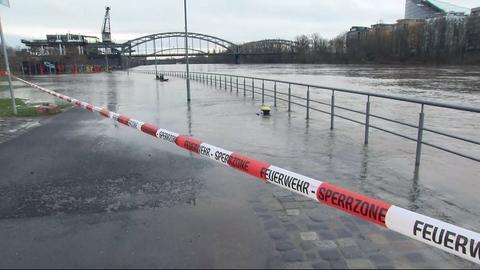 Der Main ist an der Weseler Werft in Frankfurt etwas über seine Ufer getreten - Fahrrad- und Gehweg überflutet und gesperrt