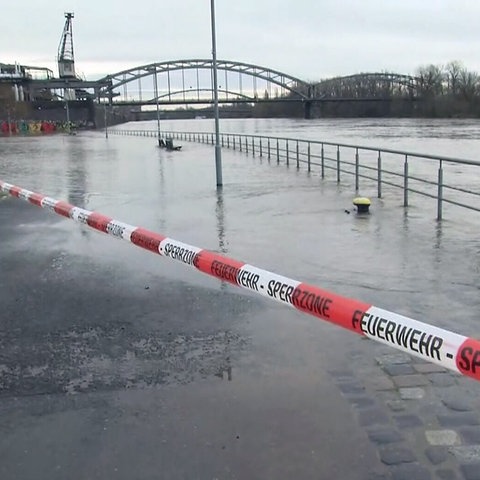 Der Main ist an der Weseler Werft in Frankfurt etwas über seine Ufer getreten - Fahrrad- und Gehweg überflutet und gesperrt