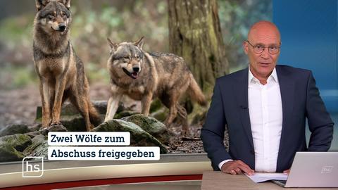 Moderator präsentiert die Themen