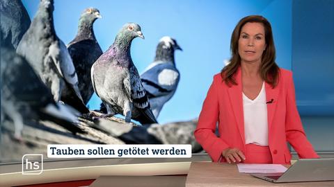 Moderatorin vor Bild mit Topthema