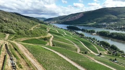 Weinberge im Rheingau