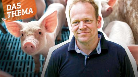 Schweinbauer vor Kamera