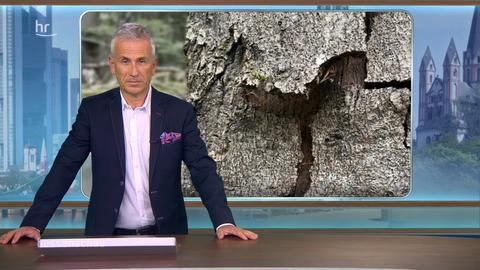 hessenschau vom 07.06.2020