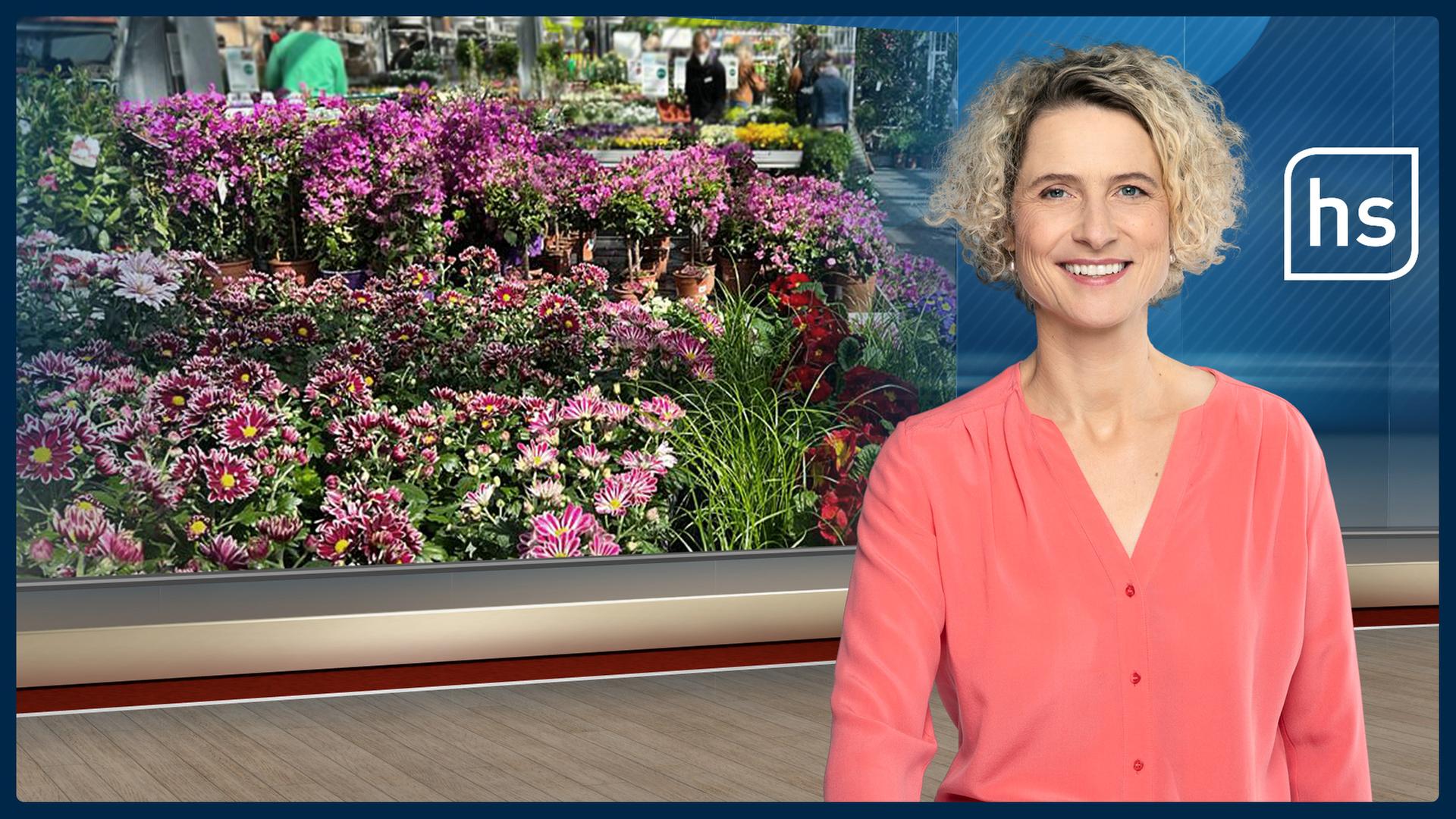 Sonne satt: Ansturm auf Gartencenter | hessenschau vom 26.03.2022 - Video | hessenschau.de | TV-Sendung