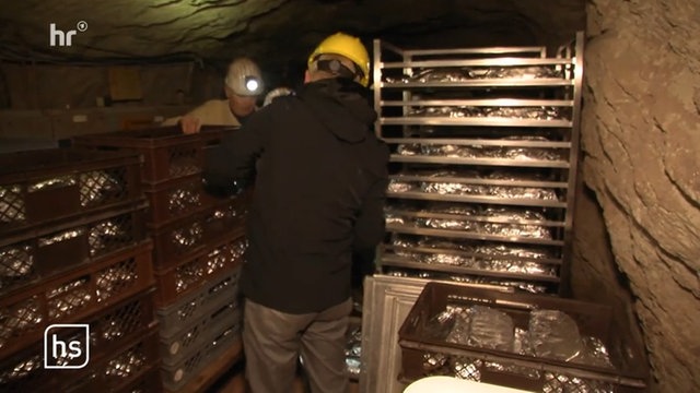 Spezielle Aktion: Wenn der Christstollen aus dem Stollen kommt - Video ...